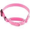 Frisco Solid Nylon Slip-On Martingale Dog Collar 1 Frisco Solid Nylon Slip-On Martingale Dog Collar -Frisco 139181 Main. AC SS1800 V1582829392