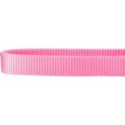 Frisco Solid Nylon Slip-On Martingale Dog Collar 10 Frisco Solid Nylon Slip-On Martingale Dog Collar -Frisco 139181 PT3. AC SS1800 V1620069443