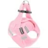Frisco Small Breed Soft Vest Step In Back Clip Dog Harness 1 Frisco Small Breed Soft Vest Step In Back Clip Dog Harness -Frisco 139821 MAIN. AC SS1800 V1699631626
