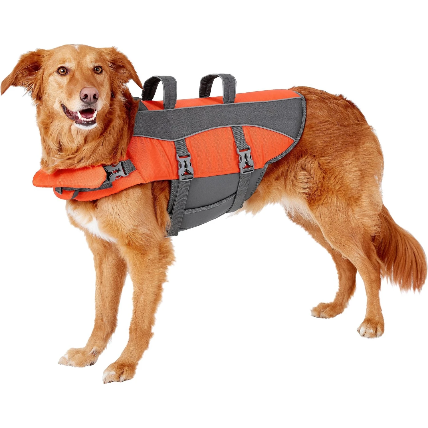 Frisco Ripstop Dog Life Jacket 3 Frisco Ripstop Dog Life Jacket