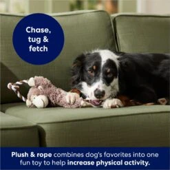 Frisco Monkey Plush With Rope Squeaky Dog Toy -Frisco 147067 PT4. AC SS1800 V1686079871