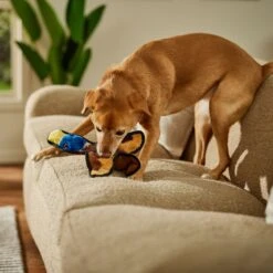 Frisco Duck Flat Plush Squeaky Dog Toy 8 Frisco Duck Flat Plush Squeaky Dog Toy -Frisco 147069 PT3. AC SS1800 V1674158058