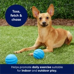 Frisco Foam Rubber Floating Fetch Ball No Squeak Dog Toy 12 Frisco Foam Rubber Floating Fetch Ball No Squeak Dog Toy -Frisco 152798 PT4. AC SS1800 V1686579140