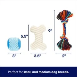 Frisco Chewy Box Hide & Seek Puzzle Plush Squeaky Dog Toy 11 Frisco Chewy Box Hide & Seek Puzzle Plush Squeaky Dog Toy -Frisco 152808 PT2. AC SS1800 V1695659219