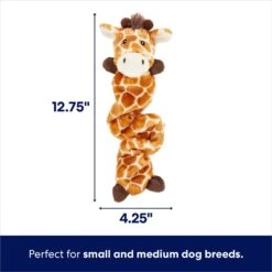 Frisco Giraffe Bungee Plush Squeaky Dog Toy 9 Frisco Giraffe Bungee Plush Squeaky Dog Toy -Frisco 152822 PT1. AC SS1800 V1686579564