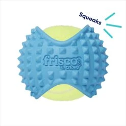Frisco Fetch Squeaky Tennis Ball With Rubber Sleeve Dog Toy 11 Frisco Fetch Squeaky Tennis Ball With Rubber Sleeve Dog Toy -Frisco 152844 PT2. AC SS1800 V1691776695