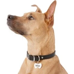 Frisco Stainless Steel Personalized Dog & Cat ID Tag, Bow Tie 14 Frisco Stainless Steel Personalized Dog & Cat ID Tag, Bow Tie -Frisco 152997 PT5. AC SS1800 V1540562104