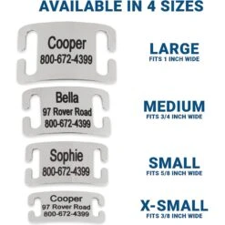 Frisco Stainless Steel Slide-On Personalized Dog & Cat Tag, Open Design 9 Frisco Stainless Steel Slide-On Personalized Dog & Cat Tag, Open Design -Frisco 153050 PT3. AC SS1800 V1644013293