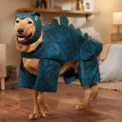 Frisco Stegosaurus Dinosaur Dog & Cat Costume 18 Frisco Stegosaurus Dinosaur Dog & Cat Costume -Frisco 158777 PT7. AC SS1800 V1567180627