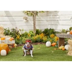 Frisco Front Walking Cowboy Dog & Cat Costume 11 Frisco Front Walking Cowboy Dog & Cat Costume -Frisco 158842 PT3. AC SS1800 V1567176047