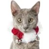 Frisco Jingle Bells Dog & Cat Holiday Collar With Bells, 1 Count -Frisco 160063 MAIN. AC SS1800 V1663948848