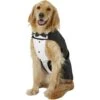 Frisco Formal Dog & Cat Tuxedo, Black 2 Frisco Formal Dog & Cat Tuxedo, Black -Frisco 160819 Main. AC SS1800 V1564075074