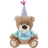 Frisco Birthday Bear Plush Squeaky Dog Toy 1 Frisco Birthday Bear Plush Squeaky Dog Toy -Frisco 162836 Main. AC SS1800 V1565379440