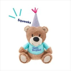 Frisco Birthday Bear Plush Squeaky Dog Toy 10 Frisco Birthday Bear Plush Squeaky Dog Toy -Frisco 162836 PT2. AC SS1800 V1695659146