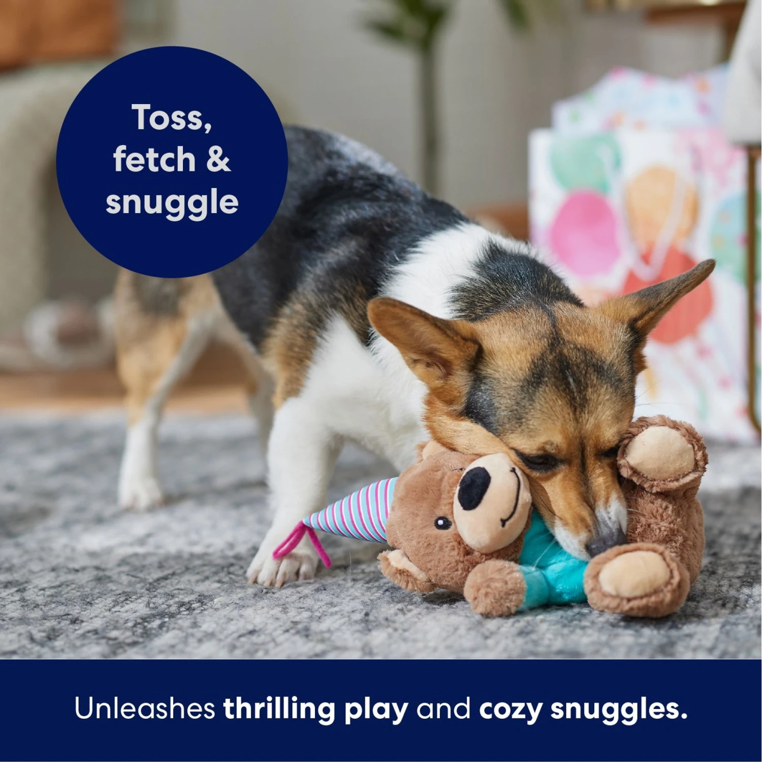 Frisco Birthday Bear Plush Squeaky Dog Toy 7 Frisco Birthday Bear Plush Squeaky Dog Toy - Image 5