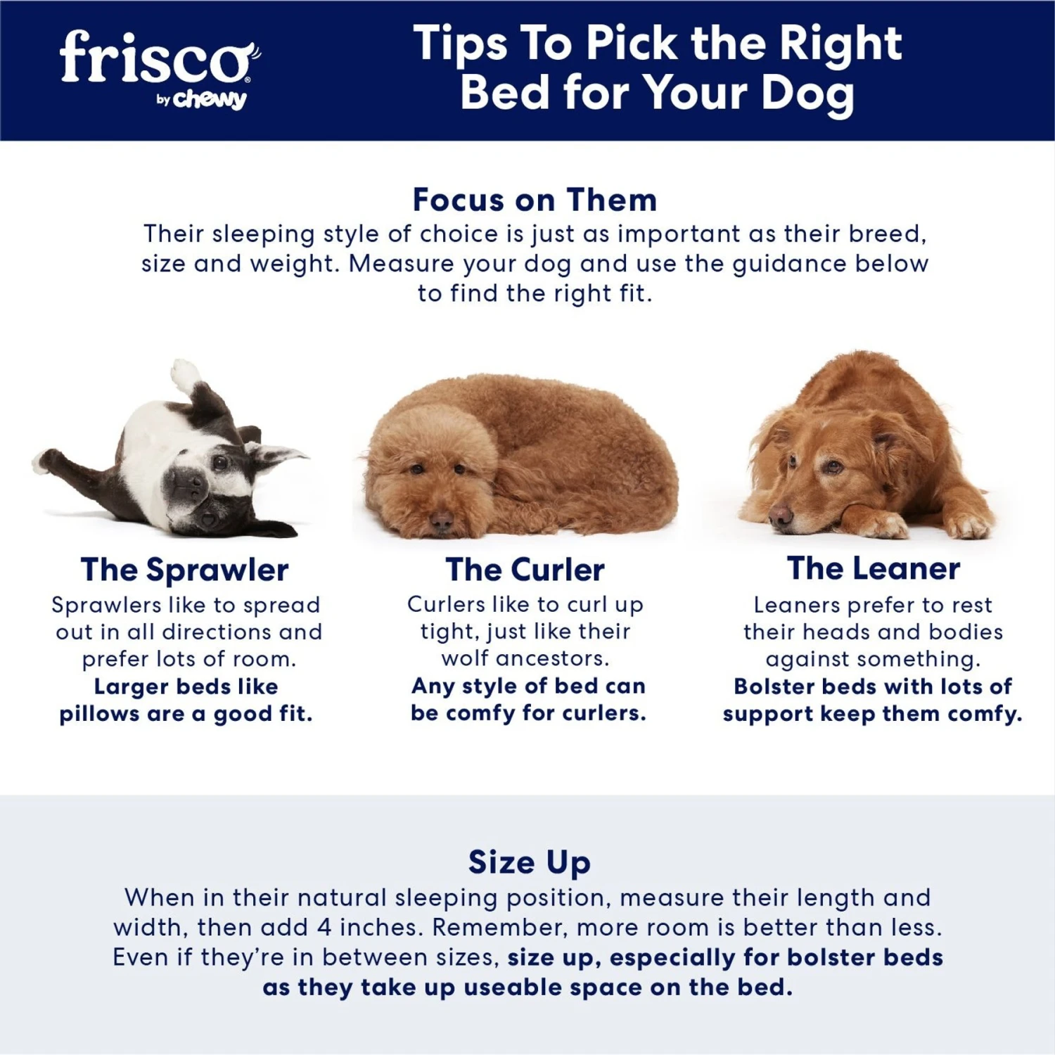 Frisco Quilted Orthopedic Pillow Cat & Dog Bed W/Removable Cover 7 Frisco Quilted Orthopedic Pillow Cat & Dog Bed W/Removable Cover - Image 5