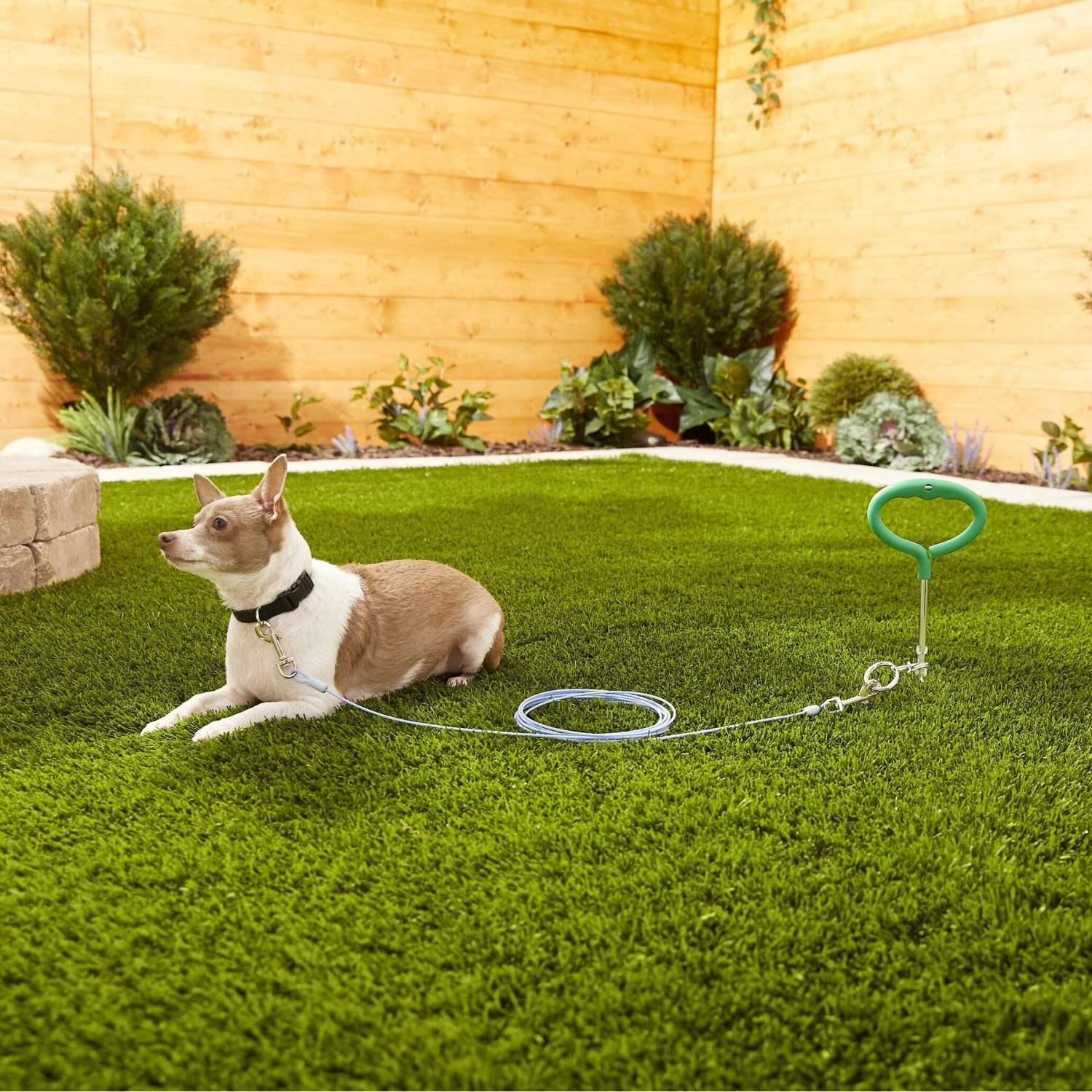 Frisco Tie Out Cable, Small 4 Frisco Tie Out Cable, Small - Image 2