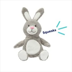 Frisco Bunny Textured Plush Squeaky Dog Toy 10 Frisco Bunny Textured Plush Squeaky Dog Toy -Frisco 174693 PT2. AC SS1800 V1695670750