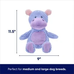 Frisco Hippo Textured Plush Squeaky Dog Toy 9 Frisco Hippo Textured Plush Squeaky Dog Toy -Frisco 174697 PT1. AC SS1800 V1695659154