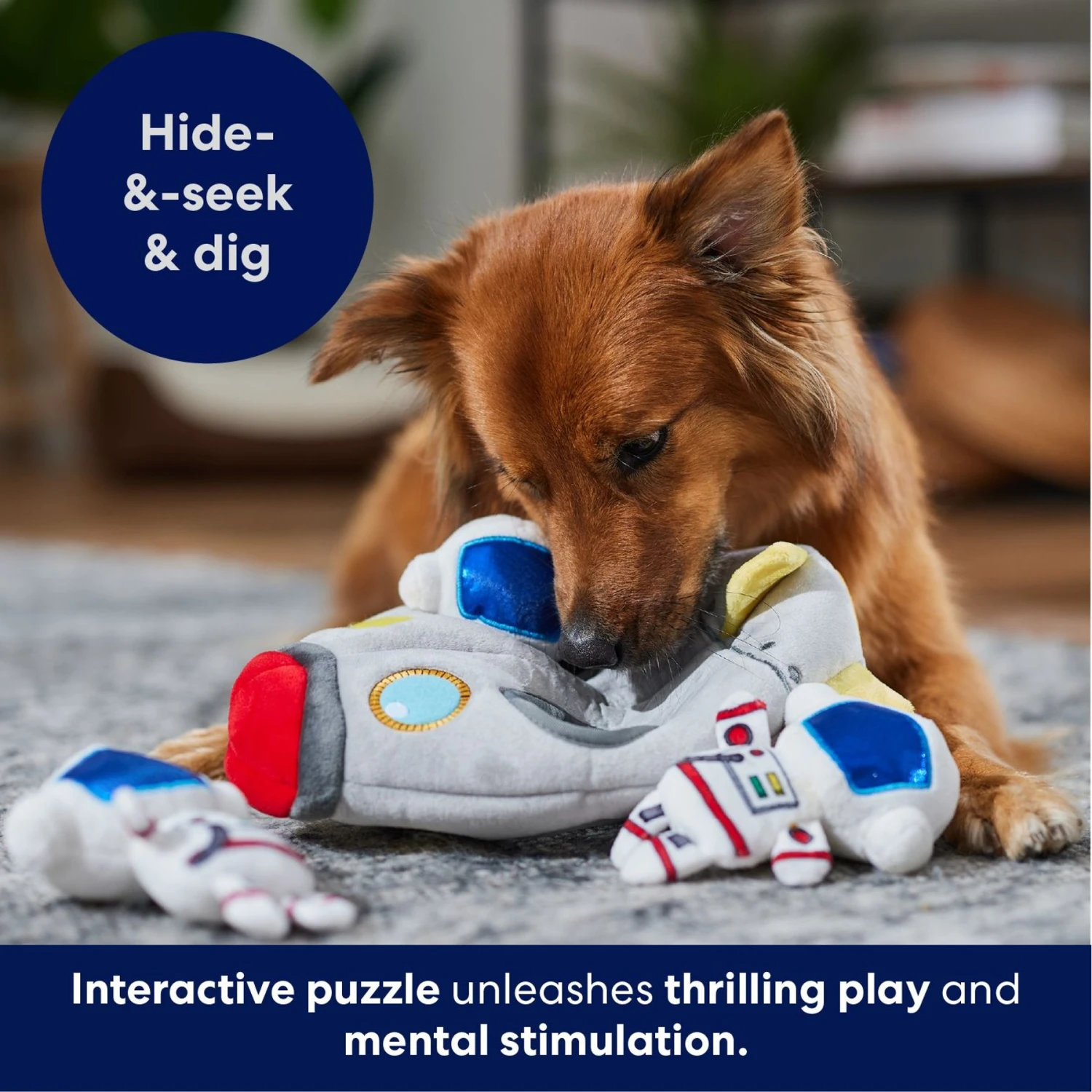 Frisco Rocket Ship Hide & Seek Puzzle Plush Squeaky Dog Toy 7 Frisco Rocket Ship Hide & Seek Puzzle Plush Squeaky Dog Toy - Image 5
