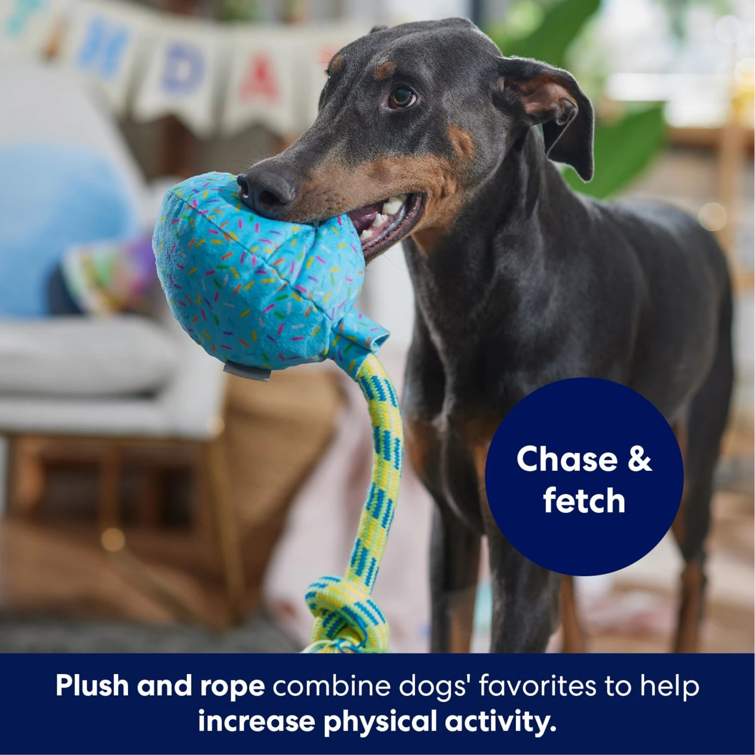 Frisco Birthday Balloon Plush With Rope Squeaky Dog Toy 6 Frisco Birthday Balloon Plush With Rope Squeaky Dog Toy - Image 4