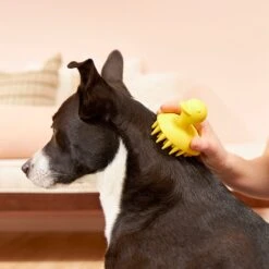 Frisco Rubber Duckie Dog & Cat Curry Brush 12 Frisco Rubber Duckie Dog & Cat Curry Brush -Frisco 206849 PT7. AC SS1800 V1600915945