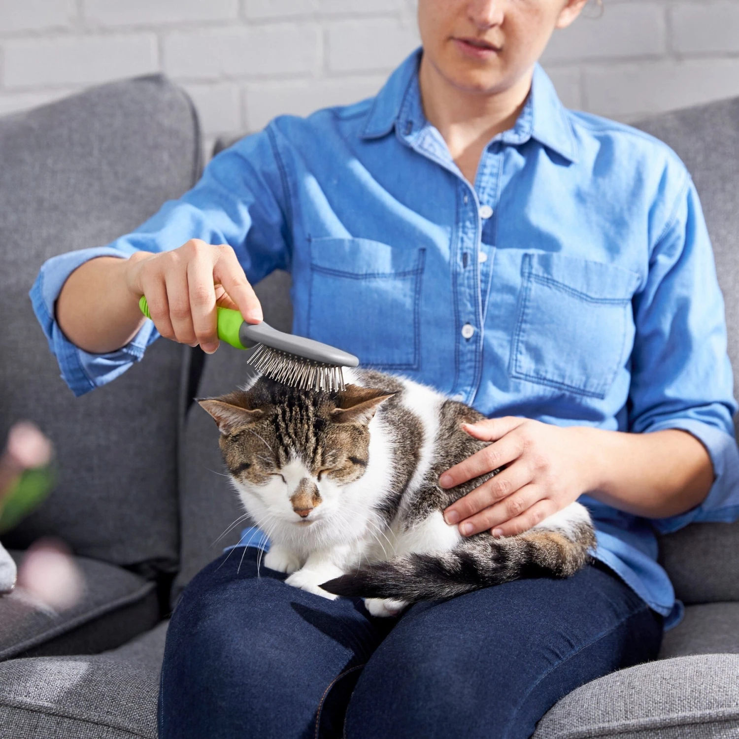 Frisco Cat & Dog Pin Brush 7 Frisco Cat & Dog Pin Brush - Image 5