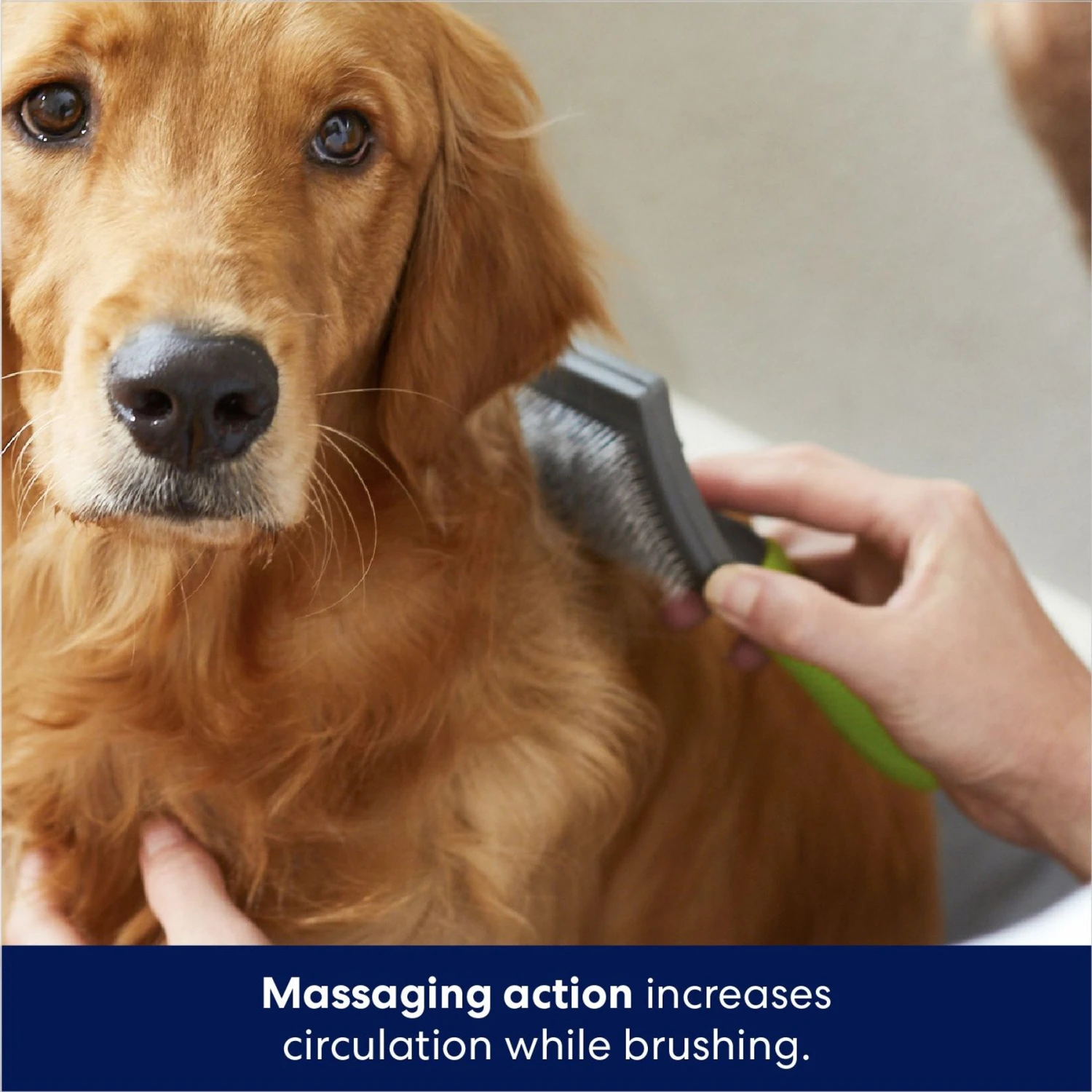 Frisco Self-Cleaning Slicker Dog Brush 7 Frisco Self-Cleaning Slicker Dog Brush - Image 5