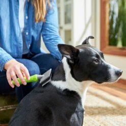 Frisco Soft Slicker Dog Brush, One Size 8 Frisco Soft Slicker Dog Brush, One Size -Frisco 206869 PT4. AC SS1800 V1680186388