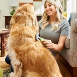 Frisco Shedding Rake Dog & Cat Brush 10 Frisco Shedding Rake Dog & Cat Brush -Frisco 206871 PT6. AC SS1800 V1680186390