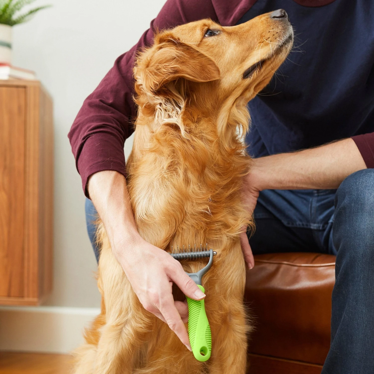 Frisco Dematting Double-Sided Dog & Cat Rake 6 Frisco Dematting Double-Sided Dog & Cat Rake - Image 4