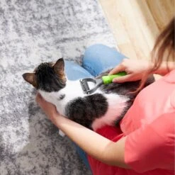 Frisco Dematting Double-Sided Dog & Cat Rake 12 Frisco Dematting Double-Sided Dog & Cat Rake -Frisco 206875 PT7. AC SS1800 V1680186159