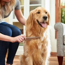 Frisco Metal Dog & Cat Comb 9 Frisco Metal Dog & Cat Comb -Frisco 206882 PT6. AC SS1800 V1680186160