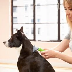 Frisco Deshedding Dog & Cat Brush 11 Frisco Deshedding Dog & Cat Brush -Frisco 206892 PT6. AC SS1800 V1680186216