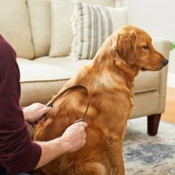 Frisco Shedding Blade Dog Brush, One Size 11 Frisco Shedding Blade Dog Brush, One Size -Frisco 206895 PT6. AC SS1800 V1680186099