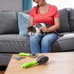 Frisco Beginner Grooming Kit For Dogs And Cats 17 Frisco Beginner Grooming Kit For Dogs And Cats -Frisco 206909 PT6. AC SS1800 V1680186162