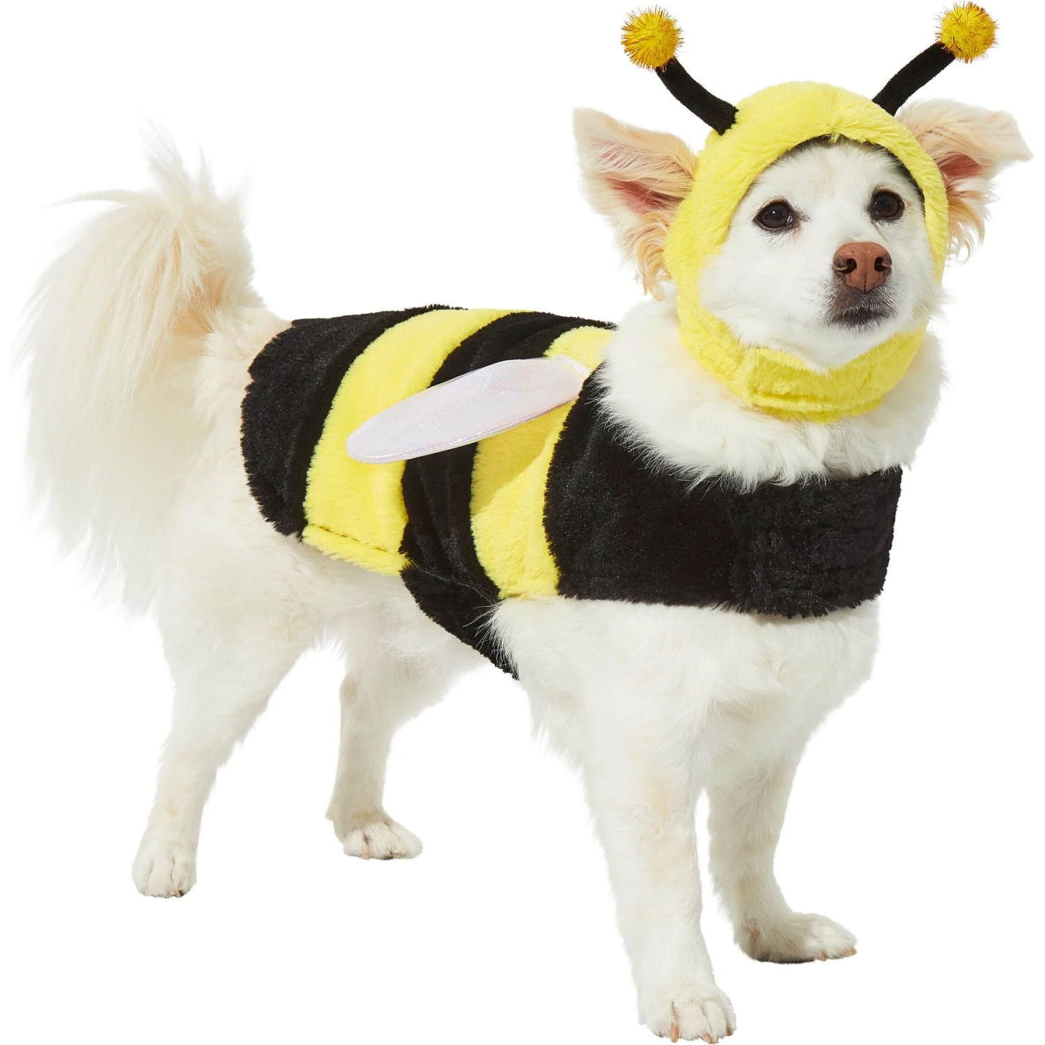 Frisco Bumble Bee Dog & Cat Costume 3 Frisco Bumble Bee Dog & Cat Costume