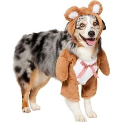 Frisco Front Walking Teddy Bear Dog & Cat Costume 13 Frisco Front Walking Teddy Bear Dog & Cat Costume -Frisco 215507 PT3. AC SS1800 V1624402415