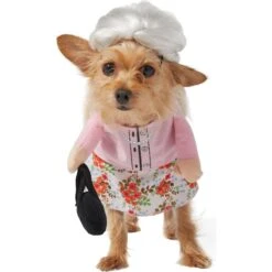 Frisco Front Walking Granny Dog & Cat Costume 15 Frisco Front Walking Granny Dog & Cat Costume -Frisco 215577 PT4. AC SS1800 V1625077372