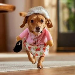 Frisco Front Walking Granny Dog & Cat Costume 19 Frisco Front Walking Granny Dog & Cat Costume -Frisco 215577 PT8. AC SS1800 V1689621333