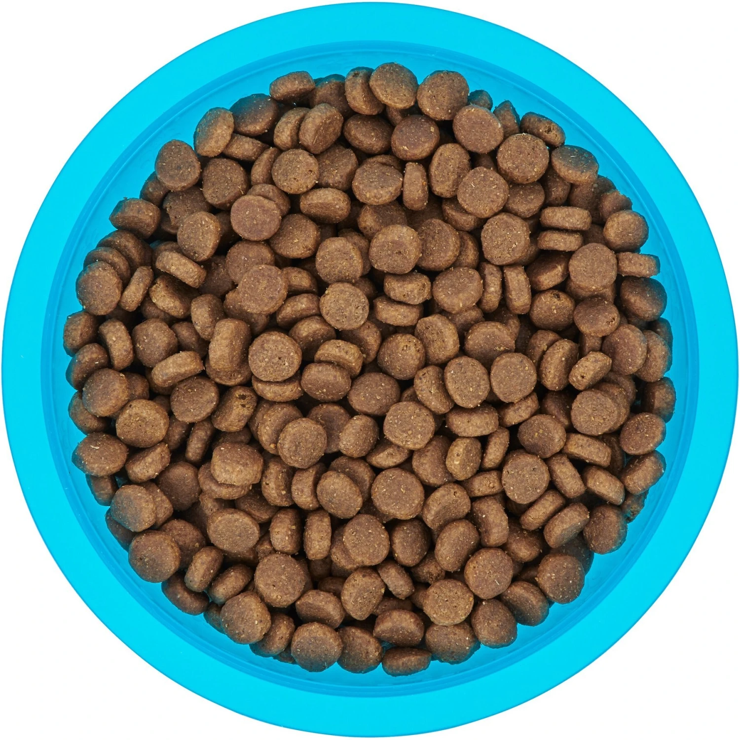 Frisco Plastic Suction Bowl, Blue 7 Frisco Plastic Suction Bowl, Blue - Image 5