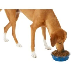 Frisco Chevron Design Glass Bowl With Silicone Sleeve 13 Frisco Chevron Design Glass Bowl With Silicone Sleeve -Frisco 216049 PT6. AC SS1800 V1605654757