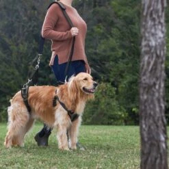 Frisco Front & Rear Lift Handicapped Support Dog Harness 13 Frisco Front & Rear Lift Handicapped Support Dog Harness -Frisco 220372 PT7. AC SS1800 V1605738439