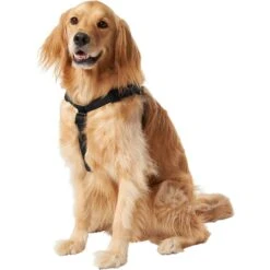 Frisco Nylon Step In Back Clip Dog Harness 9 Frisco Nylon Step In Back Clip Dog Harness -Frisco 220519 PT2. AC SS1800 V1605591714