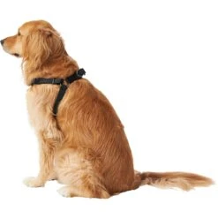 Frisco Nylon Step In Back Clip Dog Harness 10 Frisco Nylon Step In Back Clip Dog Harness -Frisco 220519 PT3. AC SS1800 V1605593555