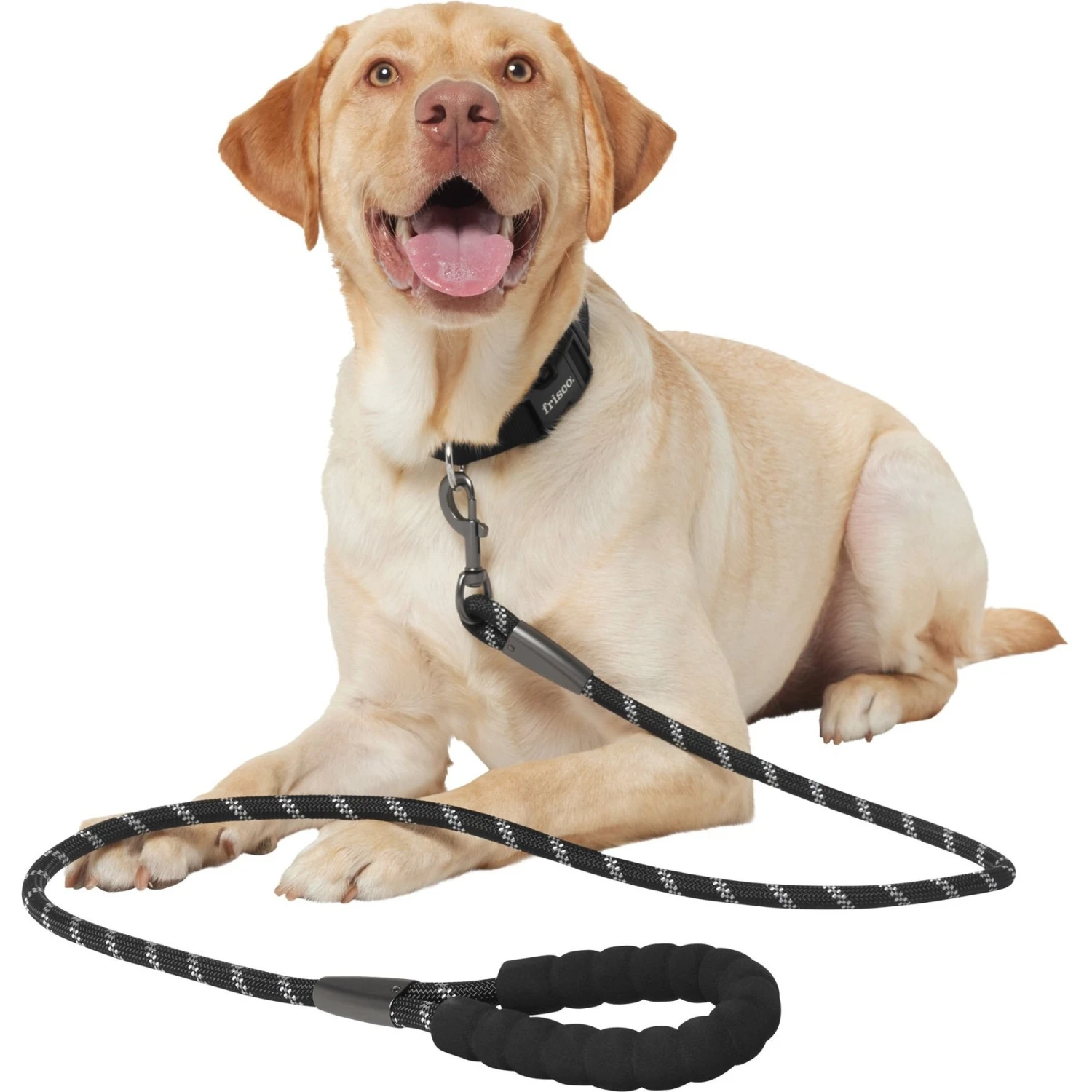 Frisco Rope Dog Leash With Padded Handle 6 Frisco Rope Dog Leash With Padded Handle - Image 4