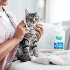 Frisco Hot Spot Relief Wipes -Frisco 222163 PT2. AC SS1800 V1602831392