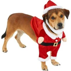 Frisco Front Walking Santa Dog & Cat Costume, 1 Count 11 Frisco Front Walking Santa Dog & Cat Costume, 1 Count -Frisco 228785 PT3. AC SS1800 V1631300866