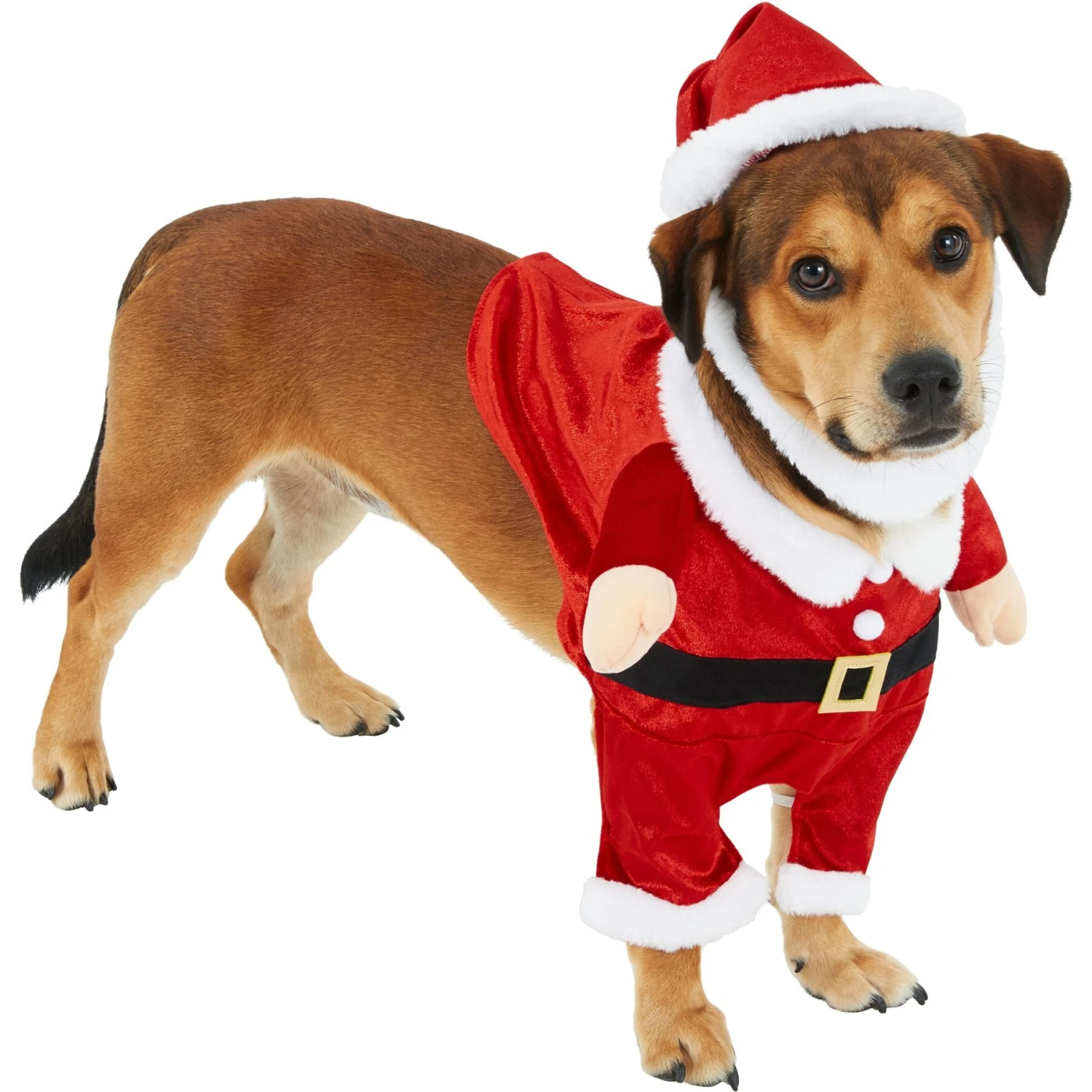 Frisco Front Walking Santa Dog & Cat Costume, 1 Count 5 Frisco Front Walking Santa Dog & Cat Costume, 1 Count - Image 3