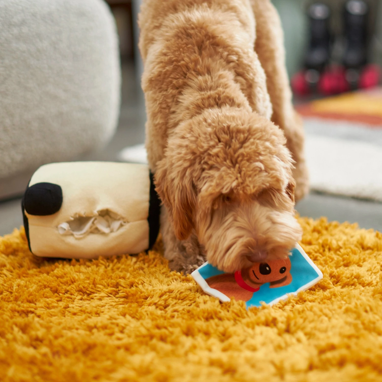 Frisco Retro Camera 2-in-1 Rip For Surprise Plush Squeaky Dog Toy 5 Frisco Retro Camera 2-in-1 Rip For Surprise Plush Squeaky Dog Toy - Image 3